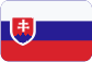 Mezinárodní spedice Slovensky